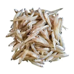Kaski Fish
